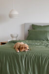 Bamboo Quilt Cover – Pine