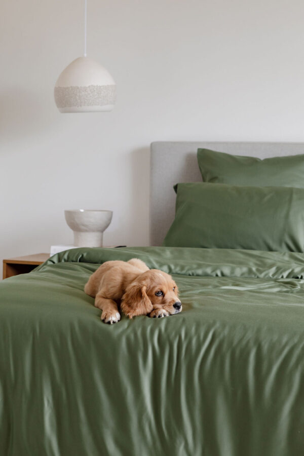 Bamboo Quilt Cover – Pine