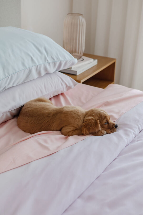 Bamboo Sheet Set – Blossom