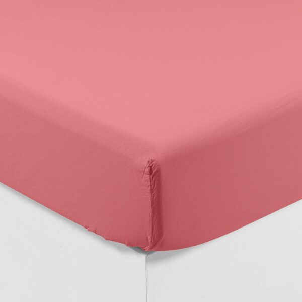Organic Cotton Fitted Sheet Petal
