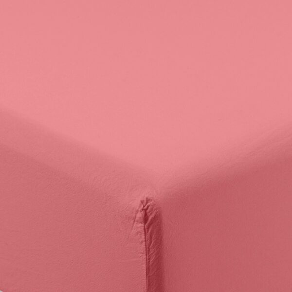 Organic Cotton Fitted Sheet Petal