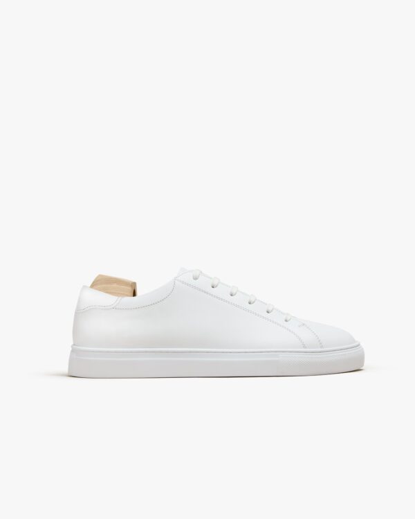 Sneakers II